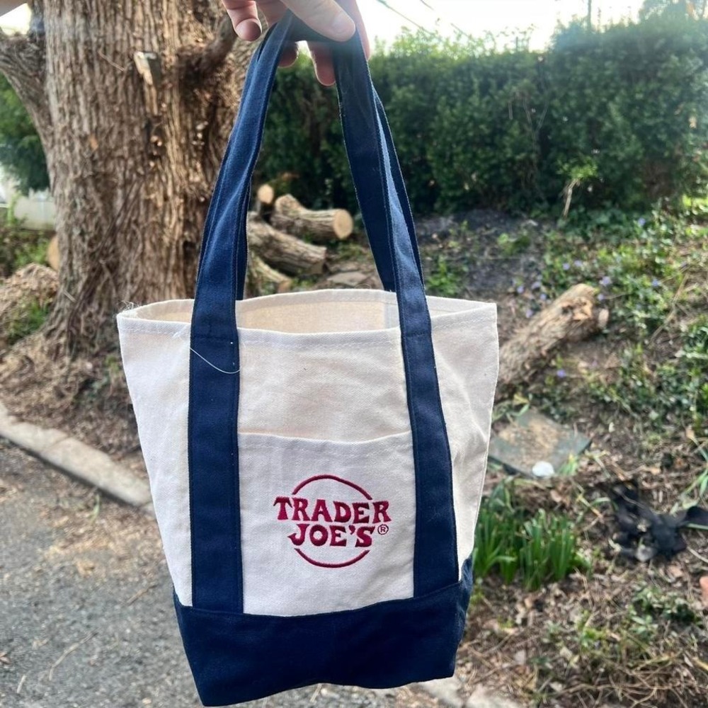 Trader Joe's mini cavas tote shoulder bag